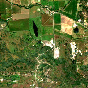 Buena Vista Biomass Power site Data Center latest measurement