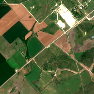 Edged Austin before measurement
