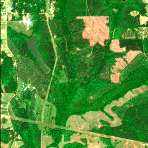 Upson County Megasite before measurement