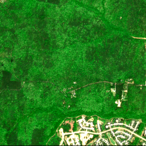 Upper Magnolia Green East before measurement