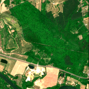 Forest Lane Data Center latest measurement