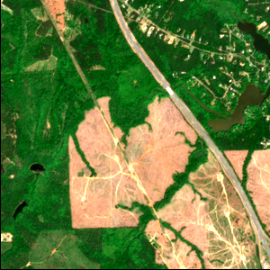 Lamar County Amazon Data Center before measurement